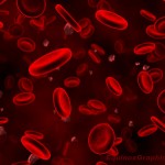 Red Blood Cells Photo , 7 Pictures Of Red Blood Cells In Cell Category