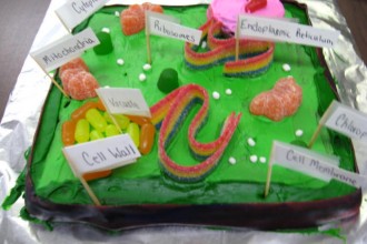 The Plant Cell , 5 Edible Plant Cell Project Ideas In Cell Category