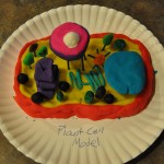cell model projects , 6 3d Cell Models For School Project In Cell Category
