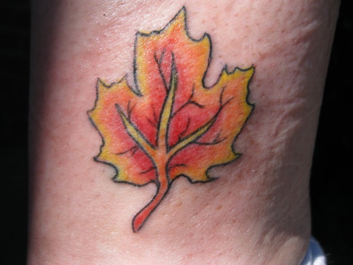 Human , 6 Maple Leaf Tattoos : Cool Maple Leaf Tattoo