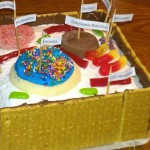 edible model of a plant cell , 5 Edible Plant Cell Project Ideas In Cell Category