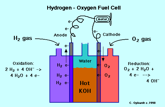 Cell , 5 Hydrogen Fuel Cell Animation : Fuel Cells