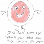 hite Blood Cell for children , 4 Blood Cells For Kids In Cell Category