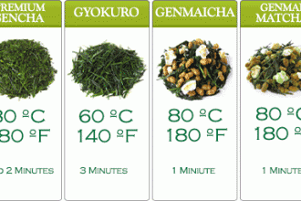 how to brew japanese green tea in Bug