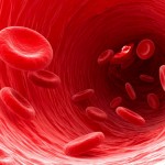  impression of red blood cells , 7 Pictures Of Red Blood Cells In Cell Category