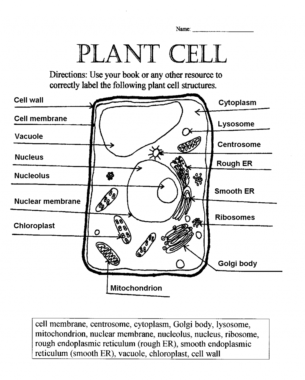 Label Plant Cell Worksheet