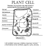 label plant cell worksheet 1 , 5 Label Plant Cell Worksheet In Cell Category