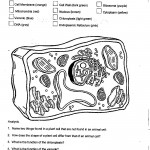 label plant cell worksheet 2 , 5 Label Plant Cell Worksheet In Cell Category