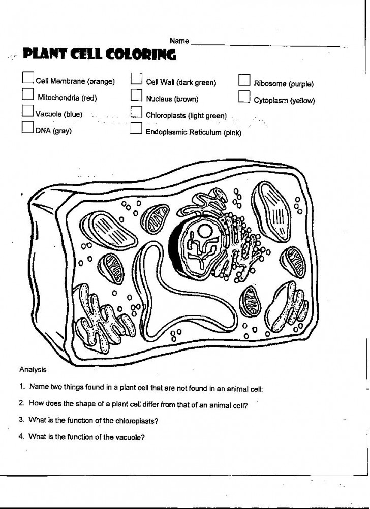 Cell , 5 Label Plant Cell Worksheet : Label Plant Cell Worksheet 2