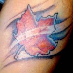 maple leaf tattoos tumblr , 6 Maple Leaf Tattoos In Human Category