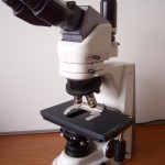 micron microscope photos , 5 Micron Microscope Photos In Laboratory Category