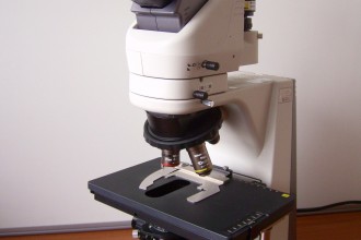 Micron Microscope Photos , 5 Micron Microscope Photos In Laboratory Category