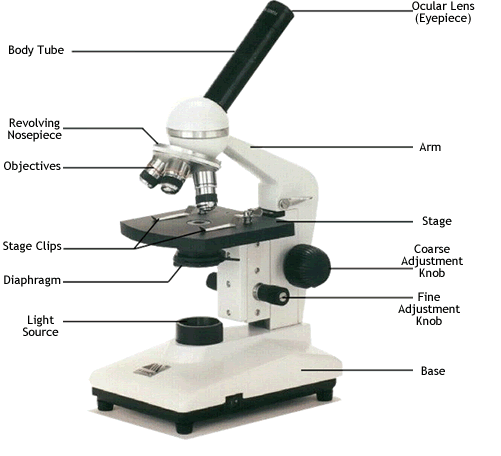 microscope labeled cweaver : Biological Science Picture Directory ...
