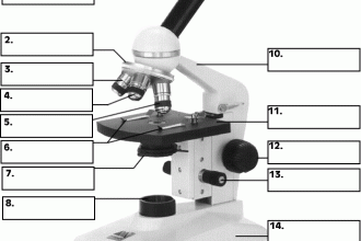 parts of the microscope quiz in Cell