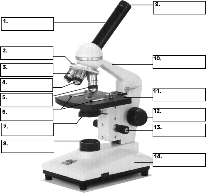 parts of the microscope quiz