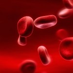 Red blood cells , 7 Pictures Of Red Blood Cells In Cell Category
