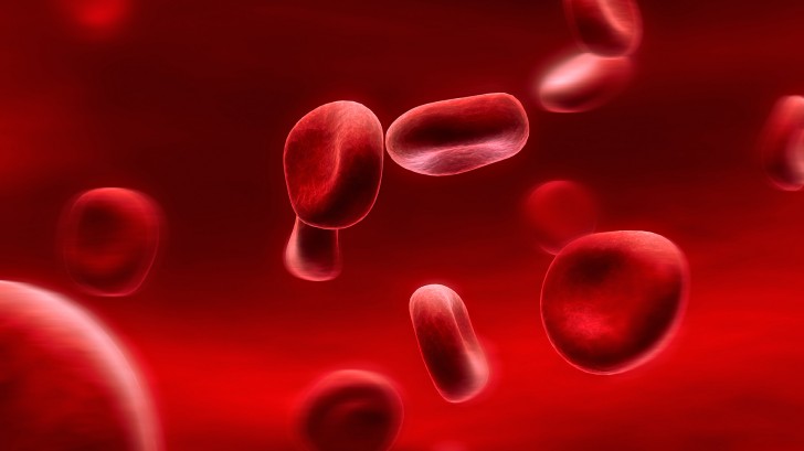 Cell , 7 Pictures Of Red Blood Cells : Red Blood Cells