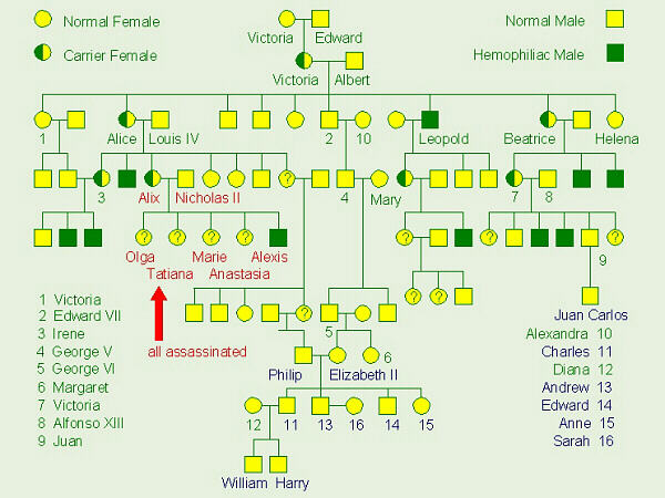 Genetics , 6 Genotype Of Hemophilia : Royal Hemophilia