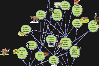 Ecosystem , 6 African Savanna Food Webs :  savannah food web worksheet