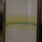 spectrum analysis , 6 Leaf Pigment Chromatography In Scientific data Category