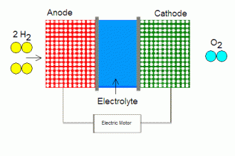 The Section About Fuel Cell Mechanics , 5 Hydrogen Fuel Cell Animation In Cell Category