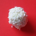 white blood cell lamington , 8 White Blood Cells Pictures In Cell Category
