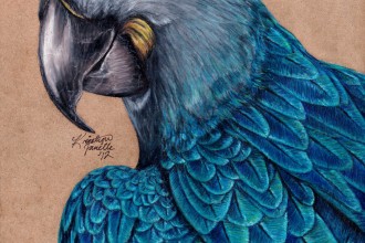Glaucous Macaw in Birds