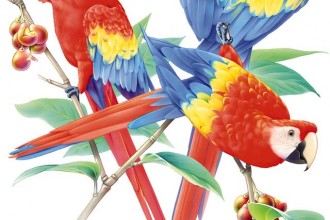 MaCaw Parrot , 7 Nice Parrot Clipart In Birds Category