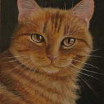 Orange Tabby Cat Painting , 7 Awesome Pictures Of Orange Tabby Cats In Cat Category