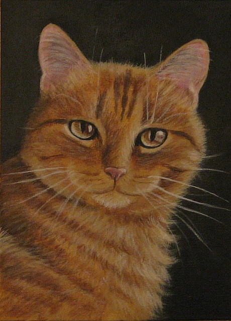 Cat , 7 Awesome Pictures Of Orange Tabby Cats : Orange Tabby Cat Painting