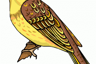Clipart Bird , 7 Nice Parrot Clipart In Birds Category