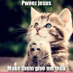 kitten praying for milk , 8 Cute Cat Pictures With Captions In Cat Category