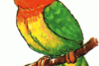 Parrot Clipart , 7 Nice Parrot Clipart In Birds Category