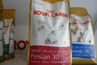 Royal Canin Adult Cat Food , 7 Good Royal Canin Persian 30 Cat Food In Cat Category