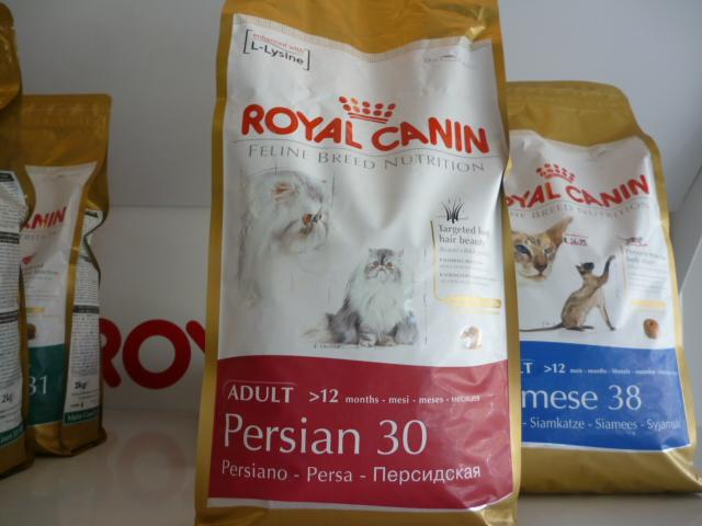 Cat , 7 Good Royal Canin Persian 30 Cat Food : Royal Canin Adult Cat Food