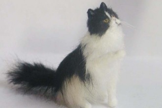 Dollhouse Miniature Persian Cat , 7 Cute Miniature Persian Cat In Cat Category