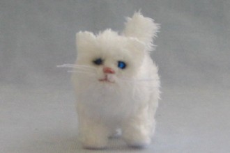 Kitten Persian , 6 Cute Mini Persian Cats In Cat Category