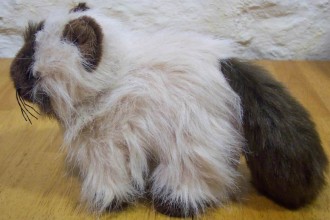 Persian Cats Information , 8 Good Stuffed Persian Cat In Cat Category