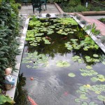 Big Koi Fish Pond Design Ideas , 8 Charming Koi Fish Ponds Designs In pisces Category