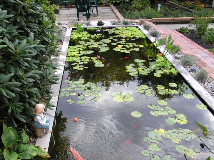 pisces , 8 Charming Koi Fish Ponds Designs : Big Koi Fish Pond Design Ideas