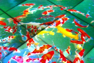 Koi Mosaic , 7 Cool Koi Fish For Sale In Miami In pisces Category
