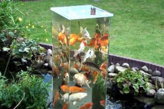  Fish Ponds , 7 Fabulous Koi Fish Ponds Made Easy In pisces Category