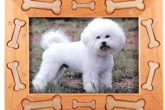 Dog Bones Pet Frame , 5 Fabulous Cute Dog Picture Frames In Dog Category