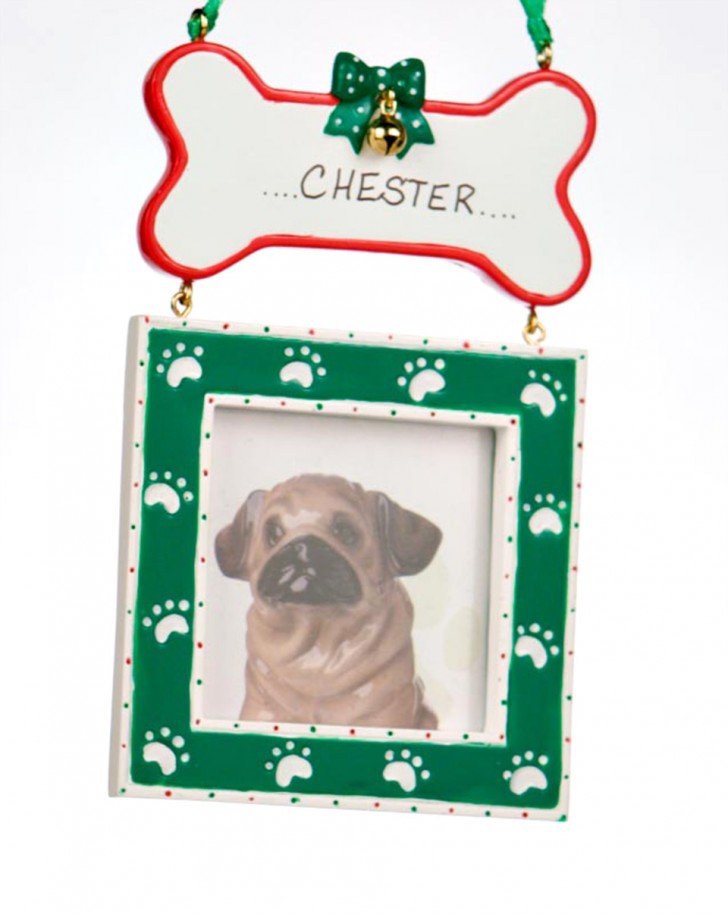 Spider , 7 Fabulous Dog Bone Picture Frame : Green Dog Bone Picture Frame