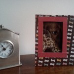 Hand Decorated Picture Frame , 4 Gorgeous Dog Themed Picture Frames In Dog Category