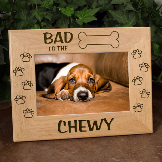 Spider , 7 Fabulous Dog Bone Picture Frame : The Bone Dog Picture Frame