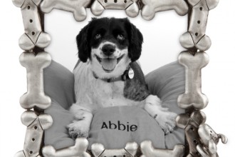 Concepts Dog Picture Frame , 7 Fabulous Dog Bone Picture Frame In Spider Category
