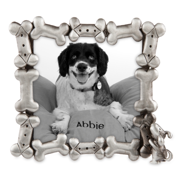 Spider , 7 Fabulous Dog Bone Picture Frame : Concepts Dog Picture Frame