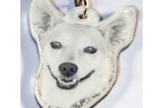  Free Upload Pictures , 7 Unique Customized Dog Tags With Pictures In Dog Category