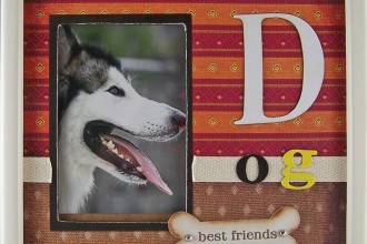  Service Dog Vests For Sale , 4 Gorgeous Dog Themed Picture Frames In Dog Category
